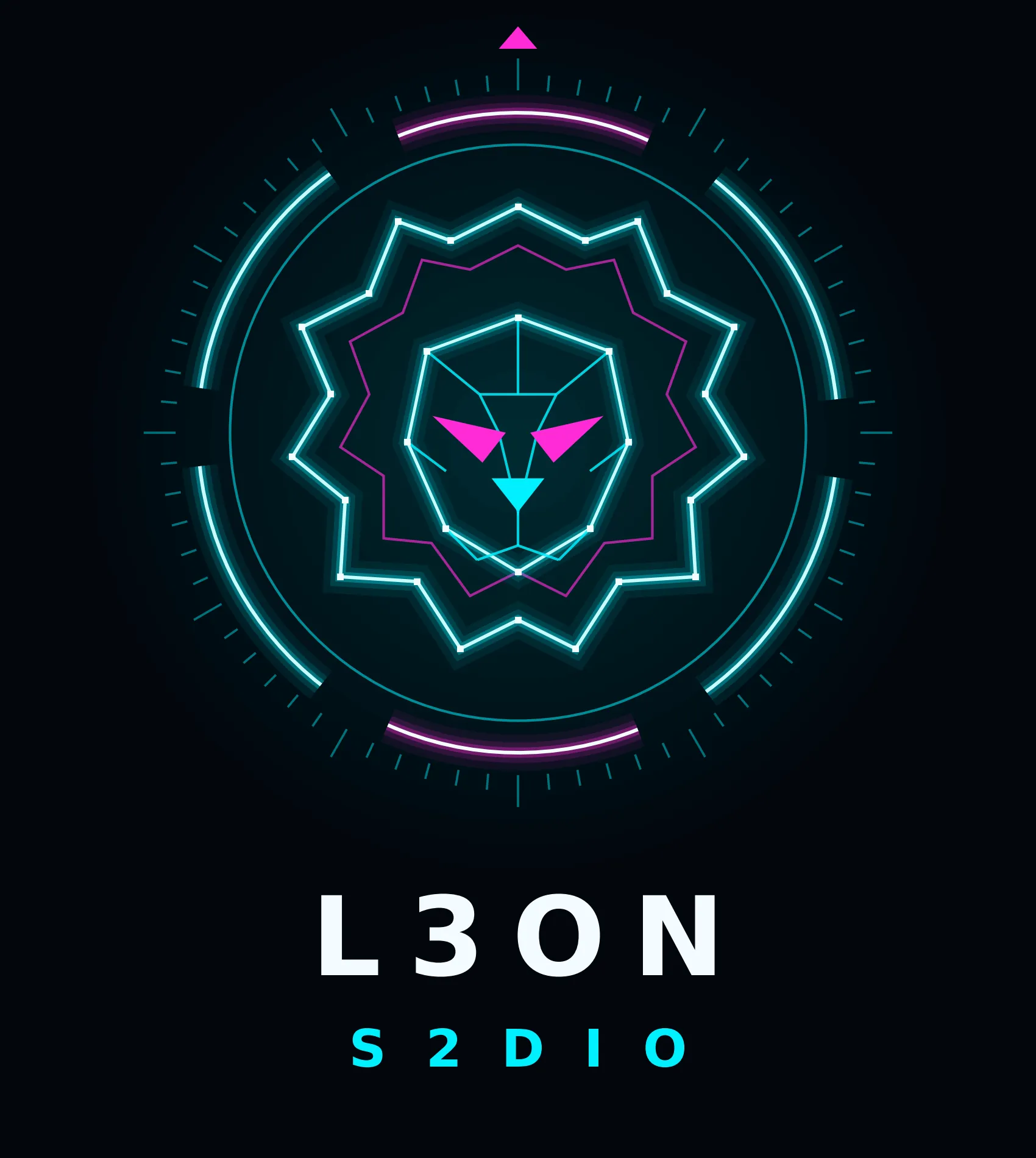 Professional vector logo design and brand identity example